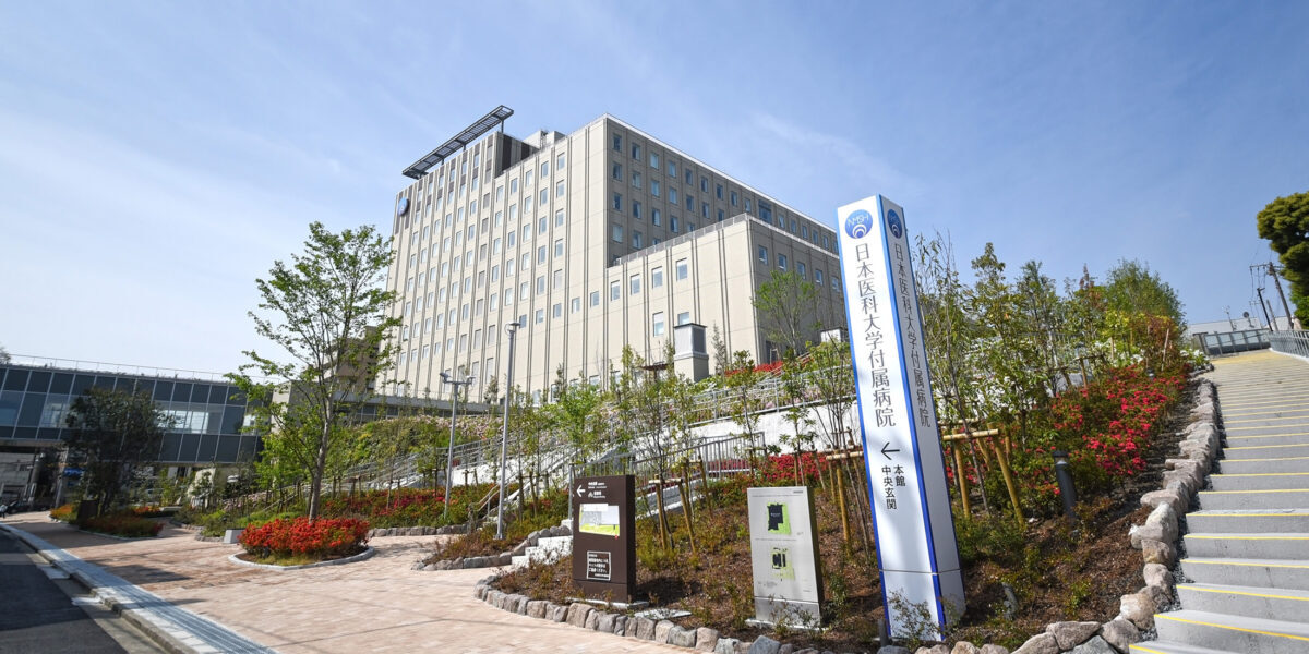 付属病院緑地