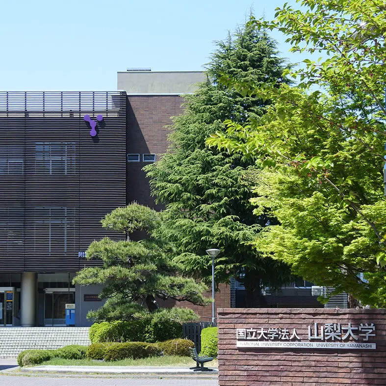 小山梨大学 医学部合格 医学部受験情報 医学部予備校 レクサス教育センター 国立