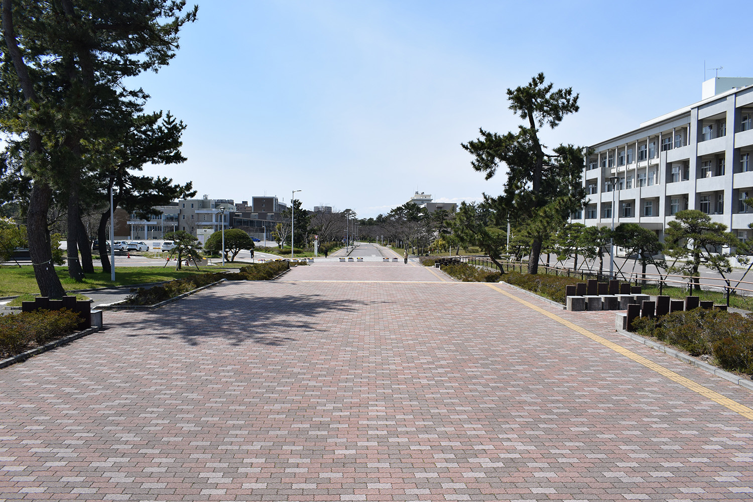 新潟大学写真①