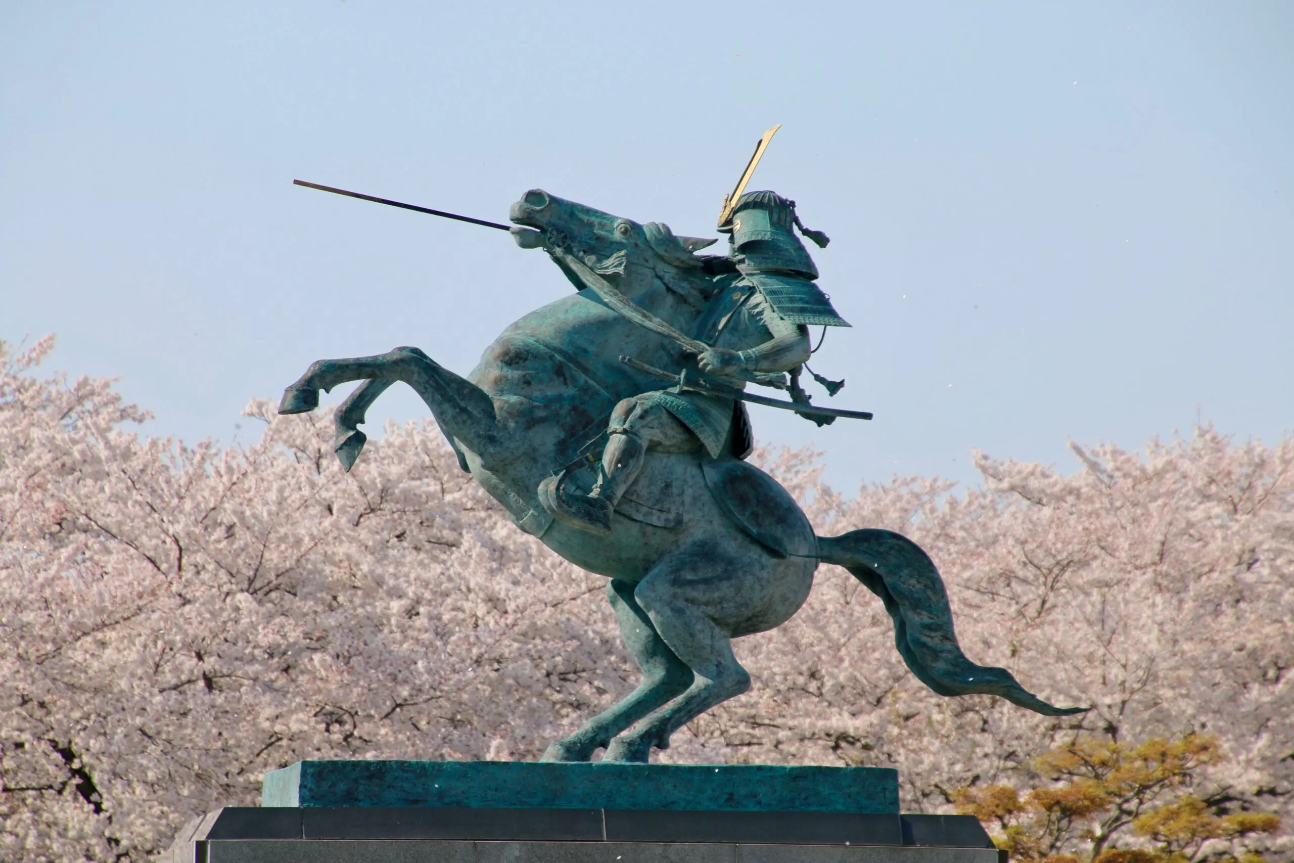 最上義光像・霞城公園・桜（山形県・山形市） 国立 医学部合格 医学部受験情報 医学部予備校 レクサス教育センター