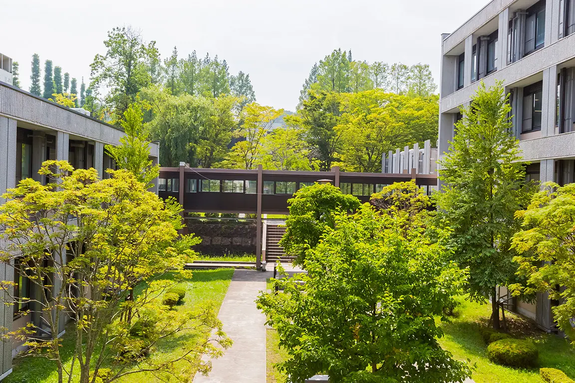 東北大学写真①
